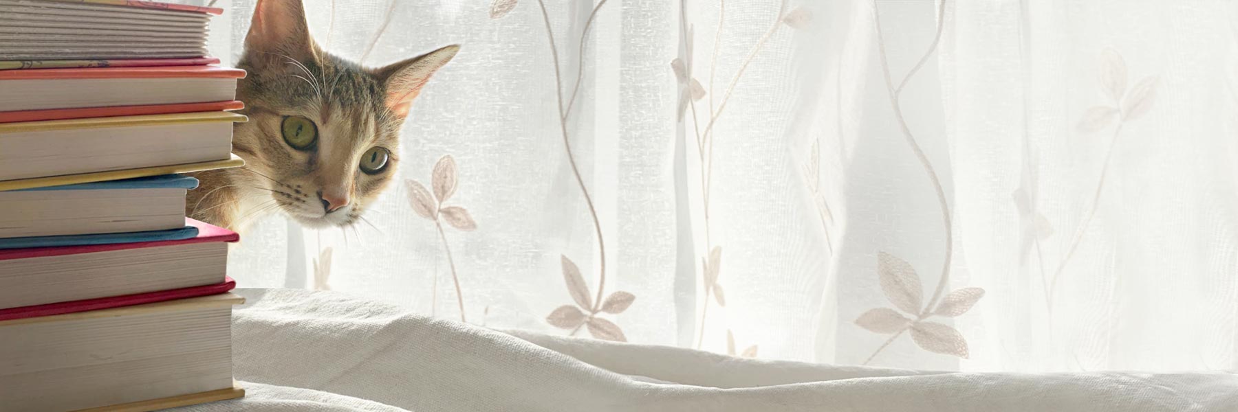 Cover image for The HomeScholar resource titled '7 Ways to Encourage Reading in Middle School.' The design features a curious cat peeking out from behind a stack of books in front of a sheer curtain, with the title text in bold red letters.