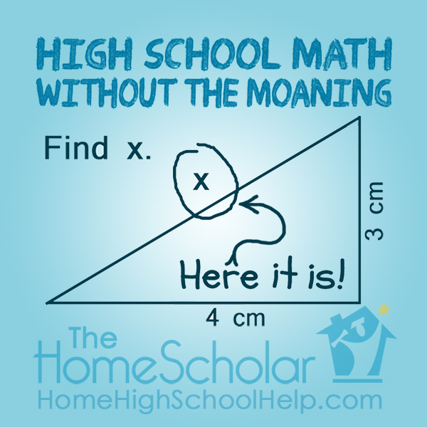 Do You Use All The Printable Worksheets For The Thinkwell Homeschool 